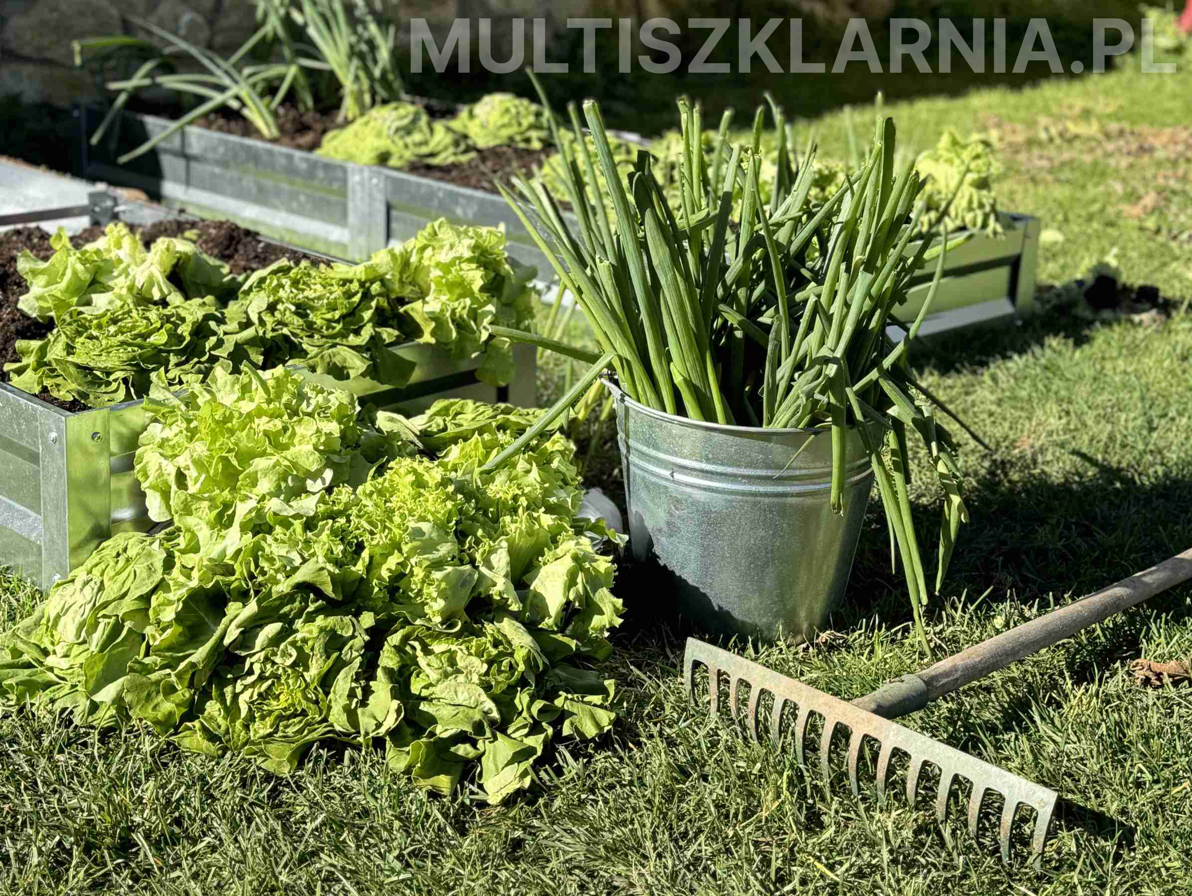 GRZĄDKI OGRODOWE STALOWE - obrazek 7